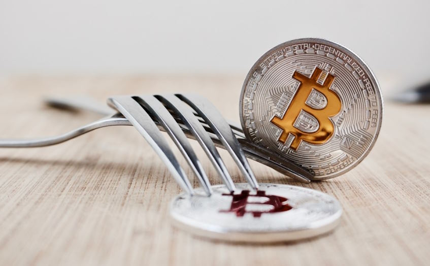 The Risk of Forks and Their Impact on Cryptocurrency Holders